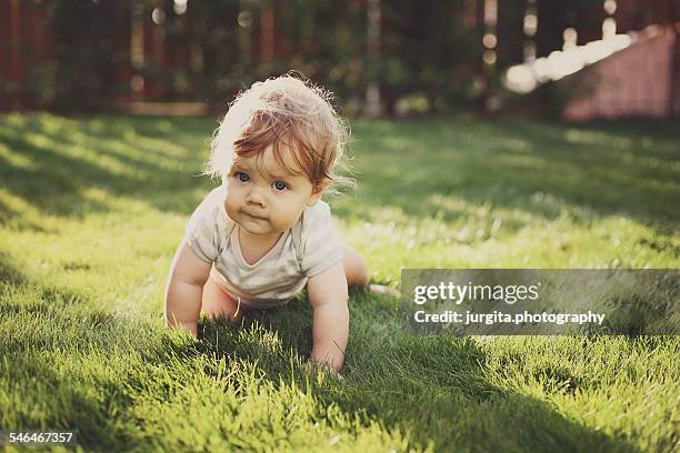 baby crawling on the grass - crawling stock-fotos und bilder