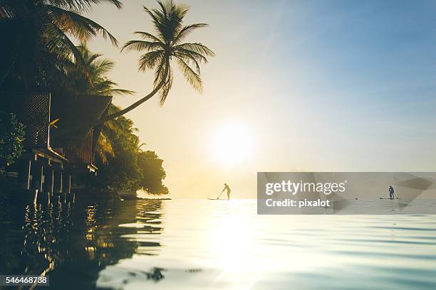 paddle boards at sunset - pixalot stock pictures, royalty-free photos & images