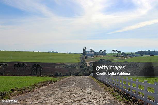 planting farms - passo fundo - rs - brazil - rio grande do sul state stock pictures, royalty-free photos & images