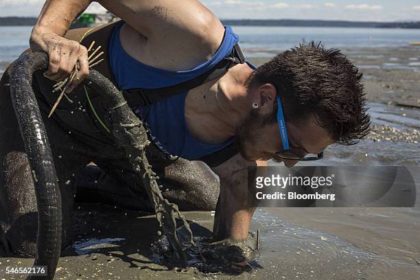 Worker reaches into sand while searching for geoducks during harvest on a beach leased by Taylor Shellfish Co. Near Olympia, Washington, U.S., on...