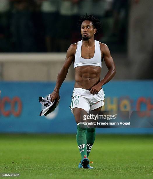 Ze Roberto of Palmeiras walks of during the match between Palmeiras and Santos for the Brazilian Series A 2016 at Allianz Parque on July 12, 2016 in...