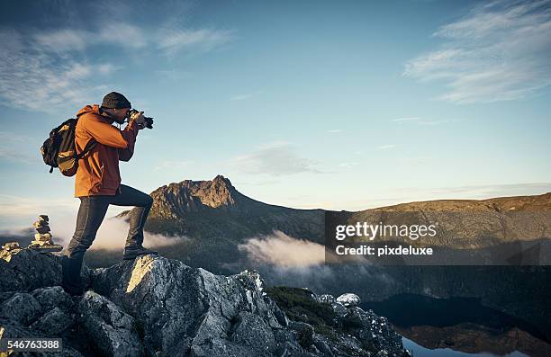le point de vue parfait - photographe photos et images de collection