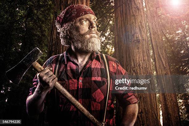 woodsman with axe in the forest - chopping 個照片及圖片檔