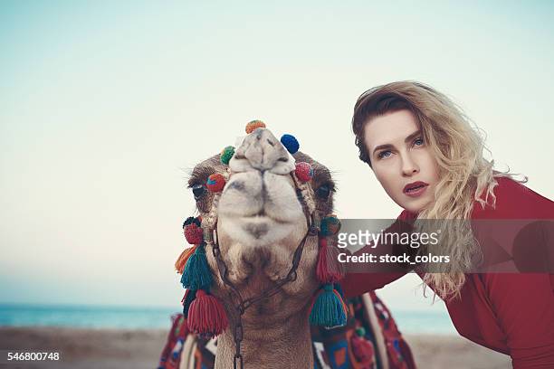 vinculación con la cultura árabe - hot arabic women fotografías e imágenes de stock
