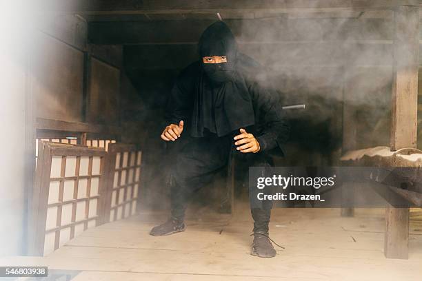 ninja preparing revenge for emperor's army - ninja pose stock pictures, royalty-free photos & images