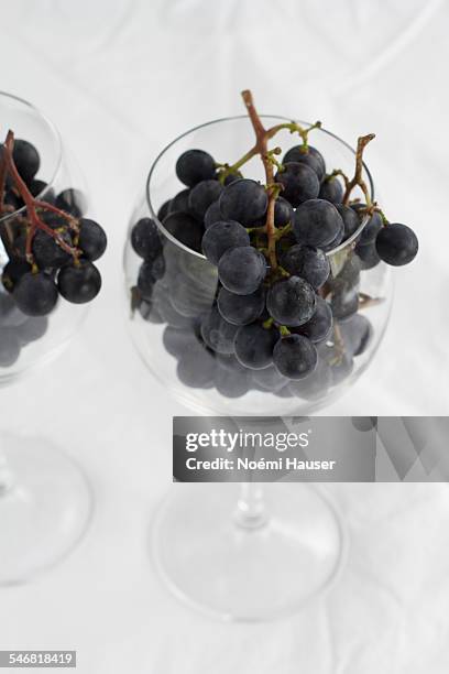 blue grape in wineglass - raceme stock pictures, royalty-free photos & images