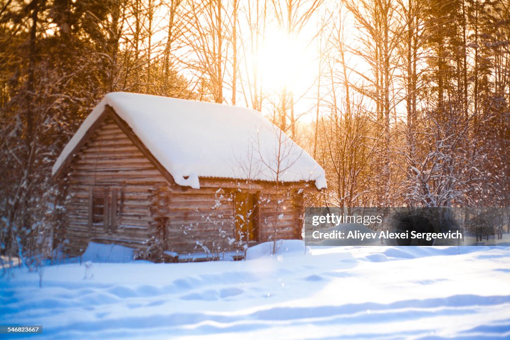 Log cabin in clearing in snowy forest