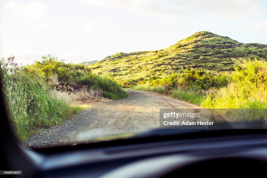 Sandy road viewed through car windshield