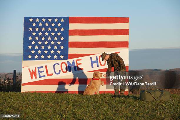 returning caucasian soldier greeting dog - military dog stock pictures, royalty-free photos & images