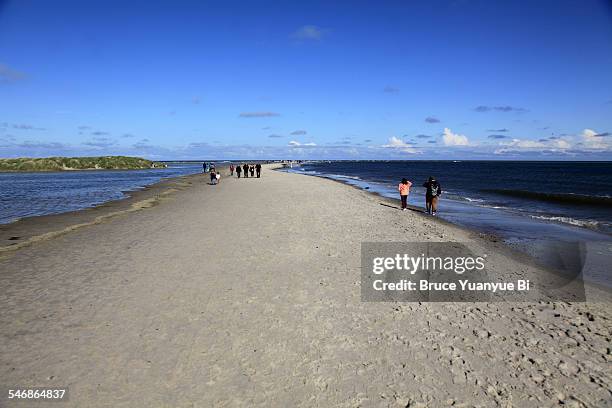 long sandbar of grenen - grenen stock pictures, royalty-free photos & images