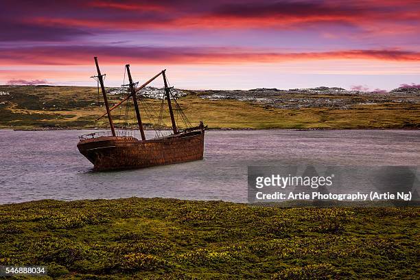 the shipwreck of lady elizabeth in whale bone cove in port stanley harbour, falkland islands, british overseas territory - stanley falklandsöarna bildbanksfoton och bilder