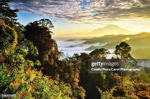 mount kinabalu view from kota kinabalu - kota kinabalu stock pictures, royalty-free photos & images