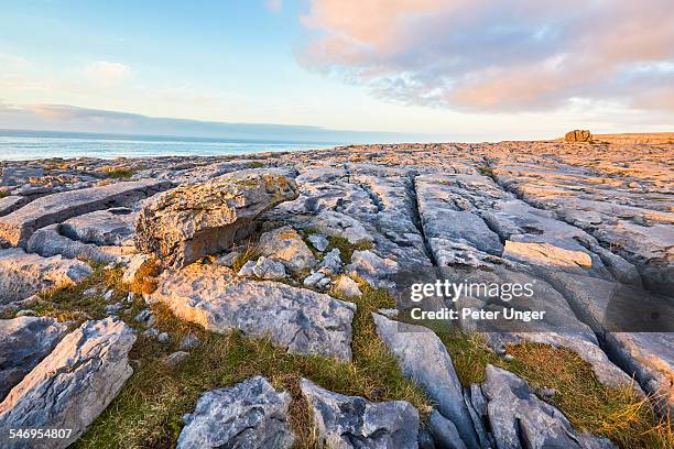 the burren, county clare, ireland - clare stock pictures, royalty-free photos & images