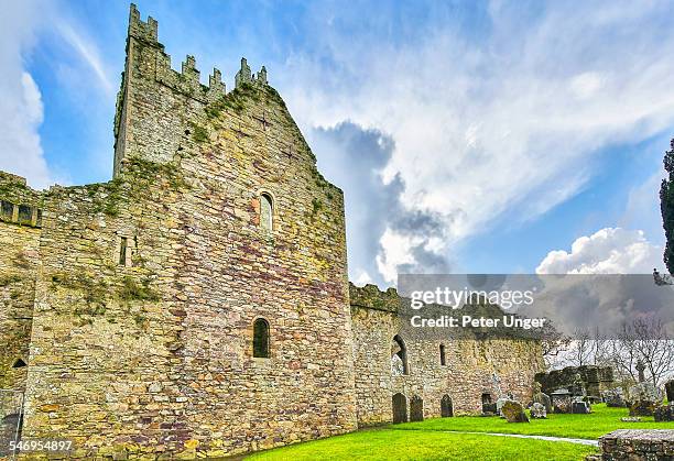 jerpoint abbey, county kilkenny - kilkenny ireland stock pictures, royalty-free photos & images