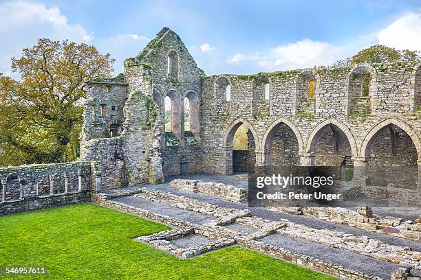 jerpoint abbey, county kilkenny - circa 12th century stock pictures, royalty-free photos & images