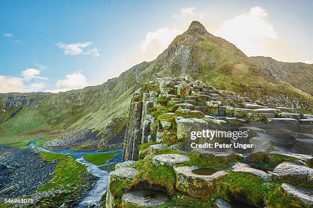 giants causeway, northern ireland - giant's causeway stockfoto's en -beelden