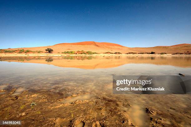 dead vlei lake sand dunes water reflections - lake reflection stock pictures, royalty-free photos & images