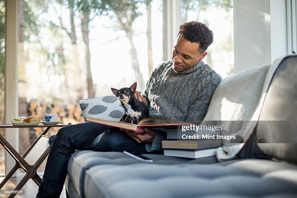 Man wearing a grey roll-neck jumper sitting on a sofa with a dog on his lap, looking at a book.