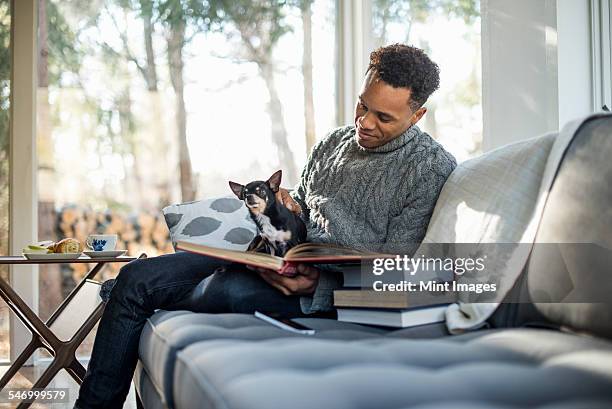 man wearing a grey roll-neck jumper sitting on a sofa with a dog on his lap, looking at a book. - woodstock new york stock pictures, royalty-free photos & images