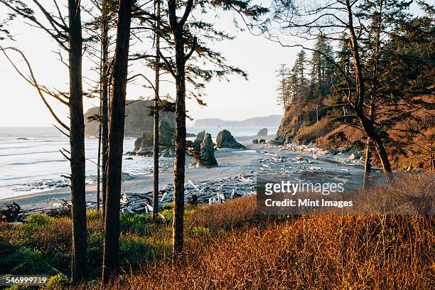 ruby beach at dusk, olympic national park, wa, usa - olympic peninsula wa stock pictures, royalty-free photos & images