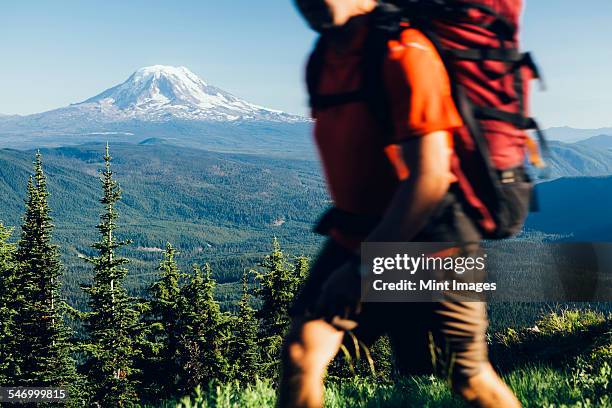 washington, gifford pinchot nf, goat rocks wilderness, cascade range, mt. adams - gifford pinchot national forest stock pictures, royalty-free photos & images