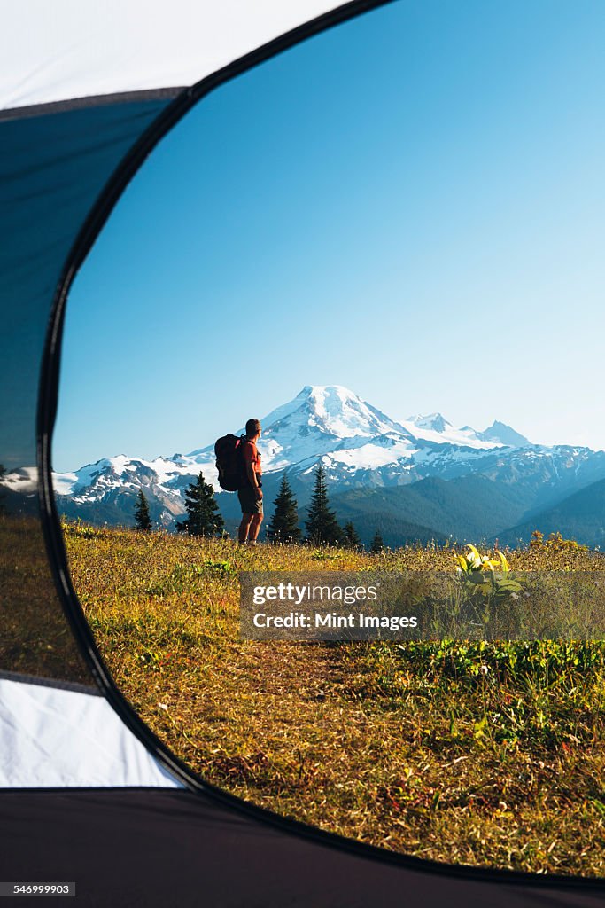 View from inside a camping tent of a man hiking across national forest land with Mount Baker in the distance.