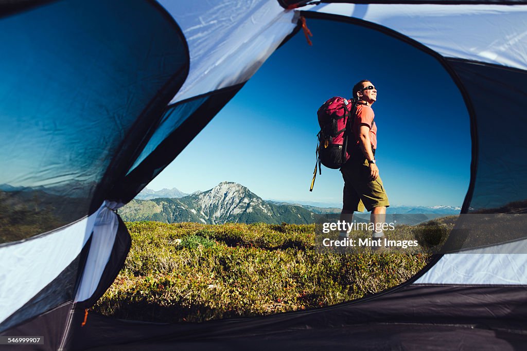 View from inside a camping tent of man hiking across national forest land with Mount Baker in the distance.