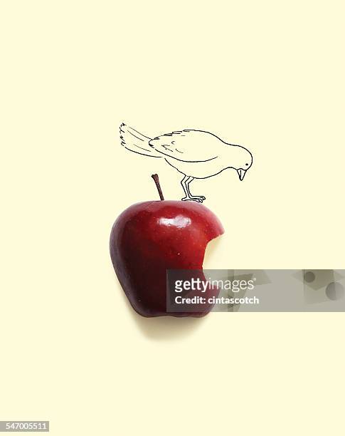 conceptual bird on apple with a bite missing - apple bite out stock pictures, royalty-free photos & images