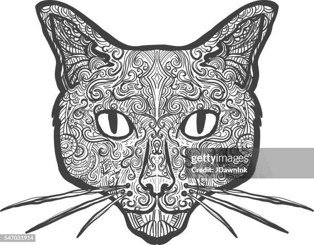 domestic cat doodle drawing hand drawn on white background - cat face stock illustrations
