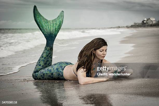 fantasy mermaid with sea horse - tail fin stock pictures, royalty-free photos & images