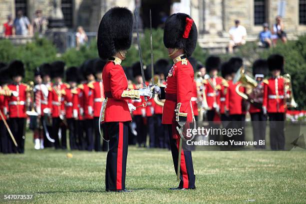 changing of the guard ceremony - canadian military uniform photos et images de collection