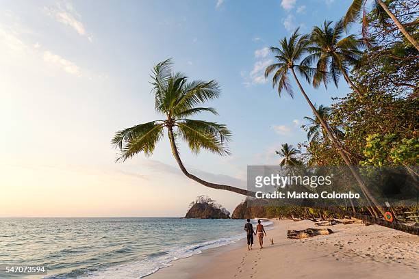 couple of tourists walking on exotic beach at sunset, costa rica - puntarenas stockfoto's en -beelden