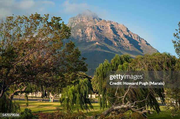 the cloth over table mountain, observatory, cape town, south africa - southern suburbs cape town stock pictures, royalty-free photos & images
