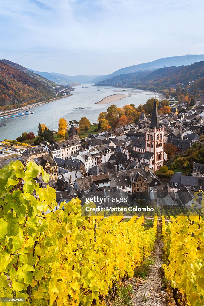 Autumn vineyards and river Rhine, Bacharach, Germany