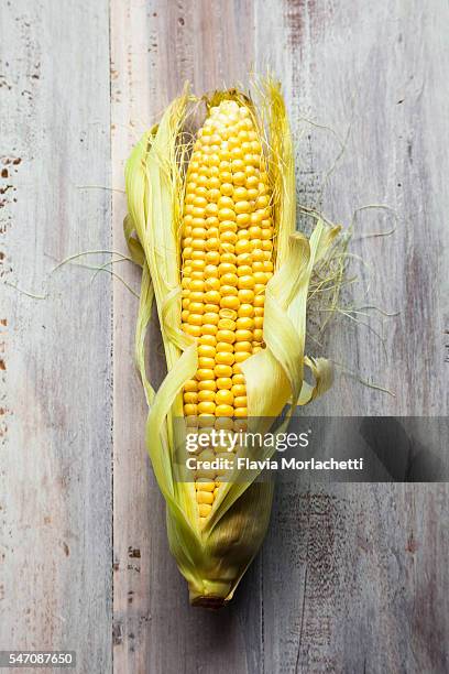 fresh organic corn - sweetcorn stock pictures, royalty-free photos & images