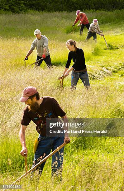 People use scythe to cut down a field at the Common Ground Fairgrounds in Unity on Saturday, June 11, 2016.