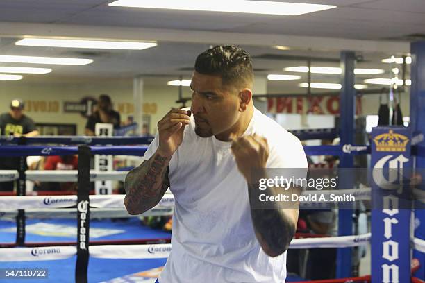 Chris Riola Chris Arreola Photos and Premium High Res Pictures - Getty Images