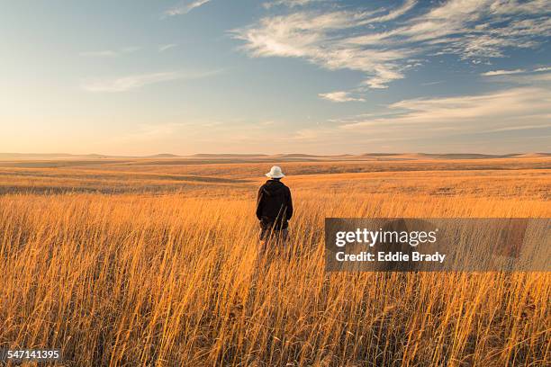 tallgrass prairie national preserve and hiker - grassland stock-fotos und bilder