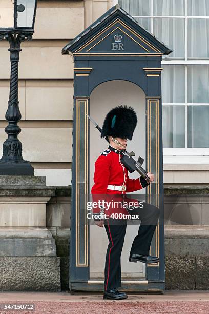 coldstream guard - guards at buckingham palace stock pictures, royalty-free photos & images