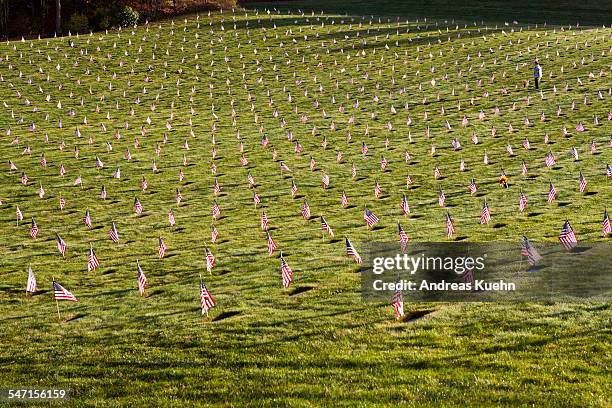 small american flags on a national cemetery - memorial day remembrance fotografías e imágenes de stock