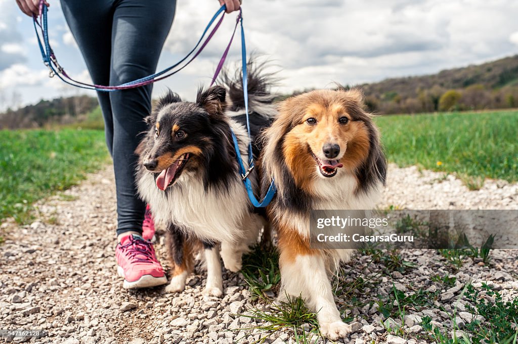 Mujer embarazada paseando a sus perros