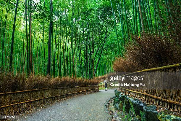 one japanese female standing in winding footpath in bamboo forest, kyoto, japan - kyoto city stock pictures, royalty-free photos & images
