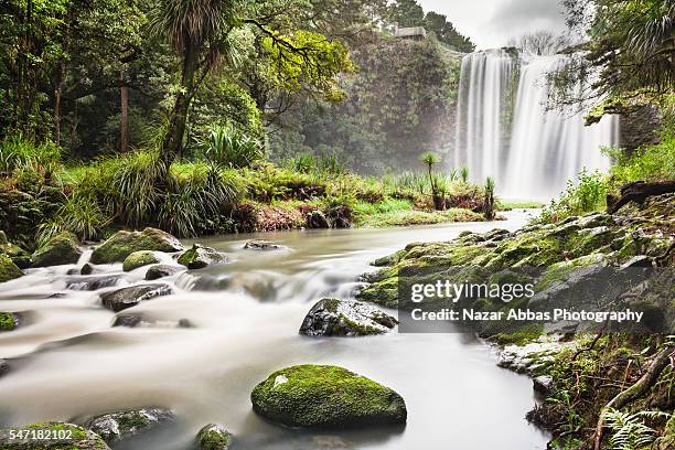 whangarei falls grand view. - whangarei heads stockfoto's en -beelden