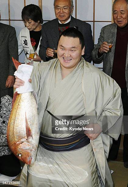 Japan - Mongolian grand champion Hakuho holds up a sea bream, a fish traditionally eaten on a festive occasion, at his stable in Tokyo on Jan. 22...