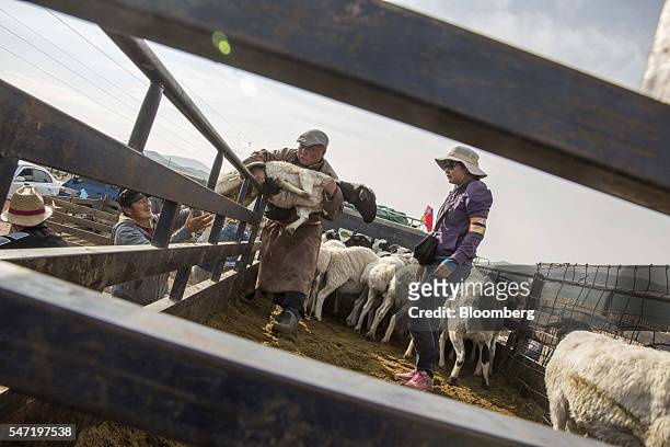 Trader unloads a sheep from a truck at a livestock market on the outskirts of Ulaanbaatar, Mongolia, on Wednesday, July 13, 2016. The nation's growth...