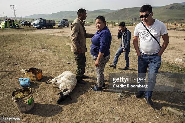 Sheep lies with its legs bound at a livestock market on the outskirts of Ulaanbaatar, Mongolia, on Wednesday, July 13, 2016. The nation's growth...