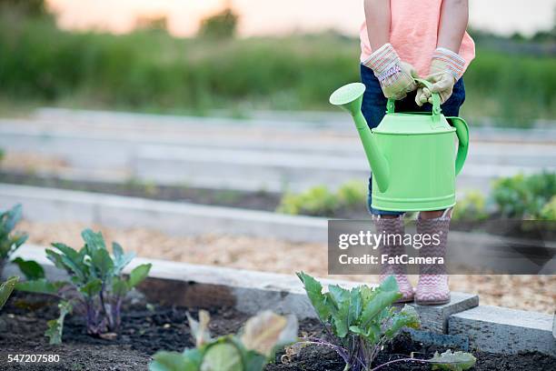 little girl watering plants - kind camera bloemen stockfoto's en -beelden