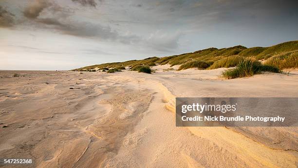 dunes - denmark landscape stock pictures, royalty-free photos & images