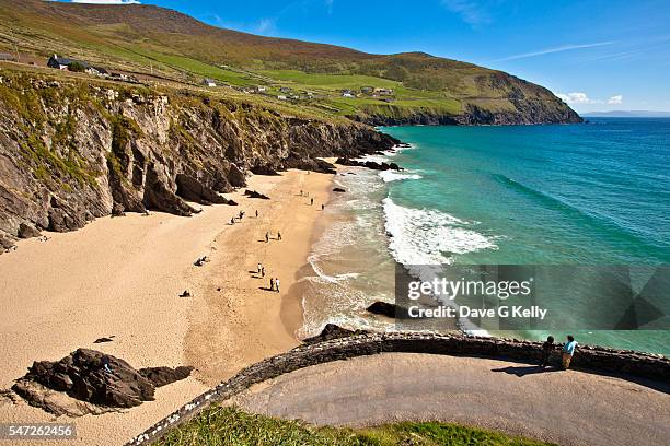 coumeenole beach, slea head, on the dingle peninsula, co kerry - dingle peninsula bildbanksfoton och bilder