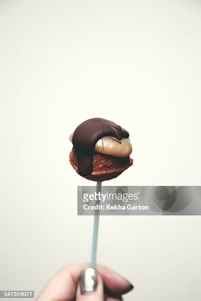salted caramel and chocolate cake pop - rekha garton stock pictures, royalty-free photos & images